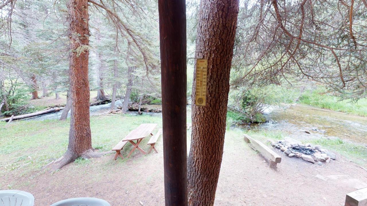 Bear Bait Cabin In Upper Valley With High Speed Wifi Red River Exteriör bild