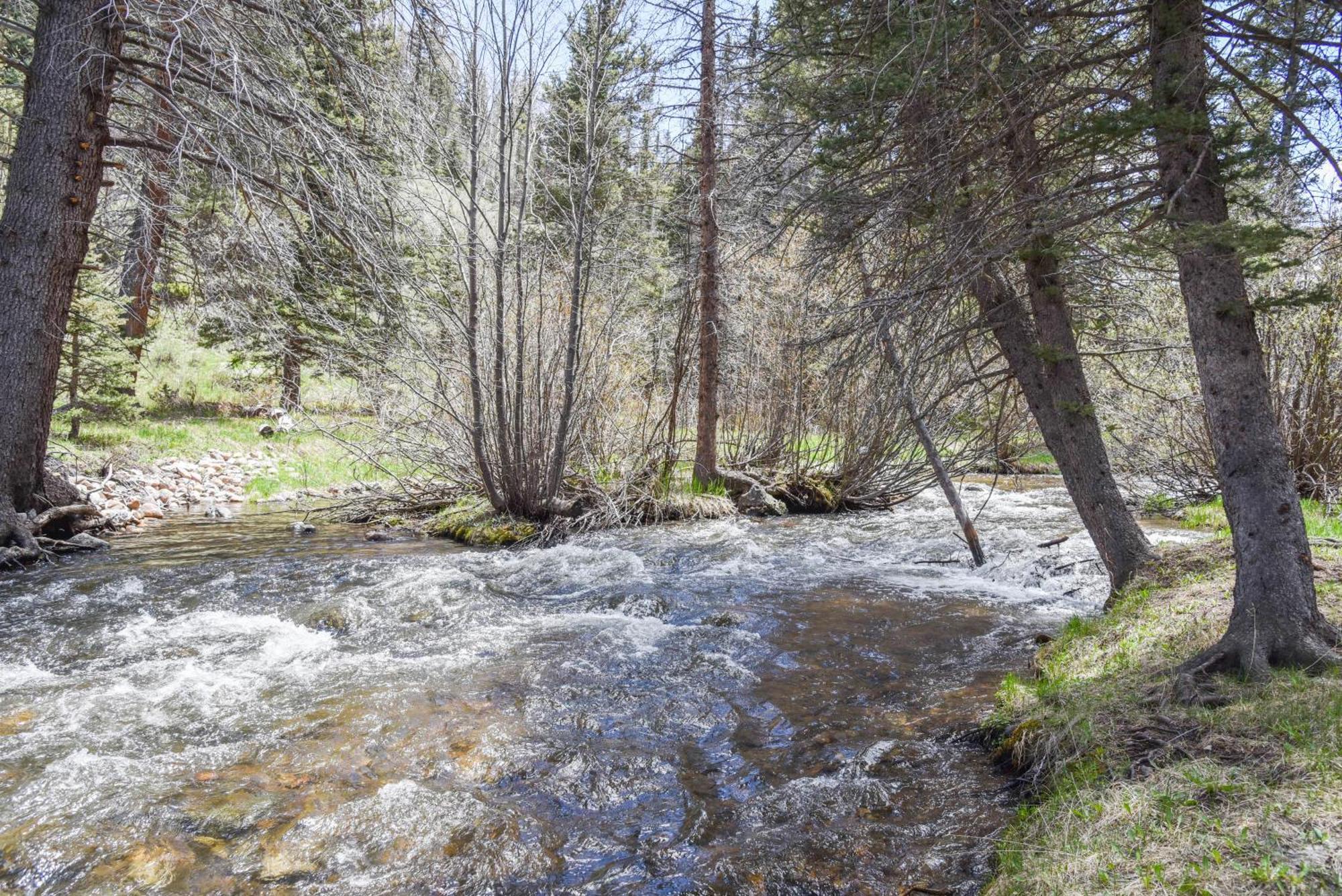 Bear Bait Cabin In Upper Valley With High Speed Wifi Red River Exteriör bild