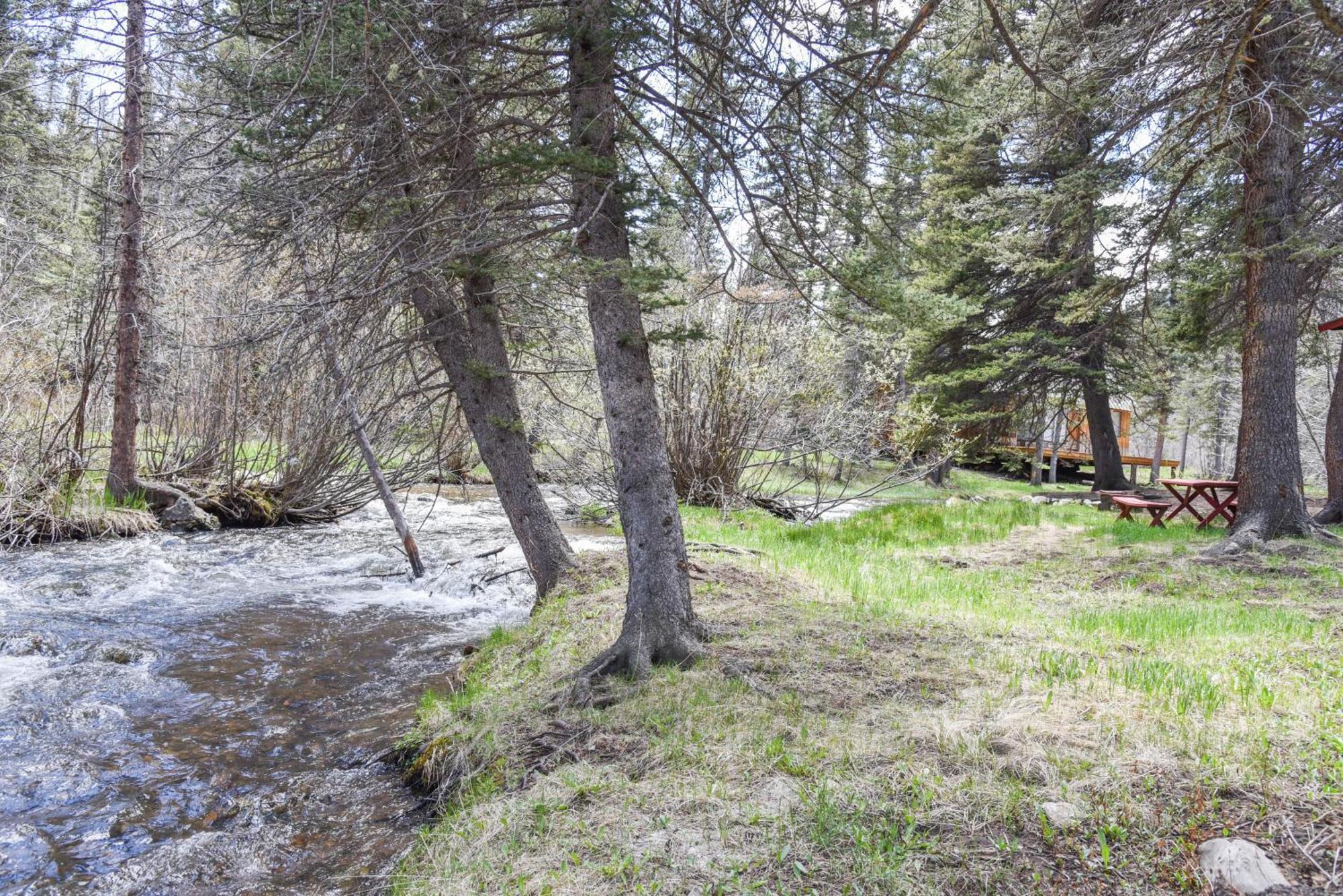 Bear Bait Cabin In Upper Valley With High Speed Wifi Red River Exteriör bild